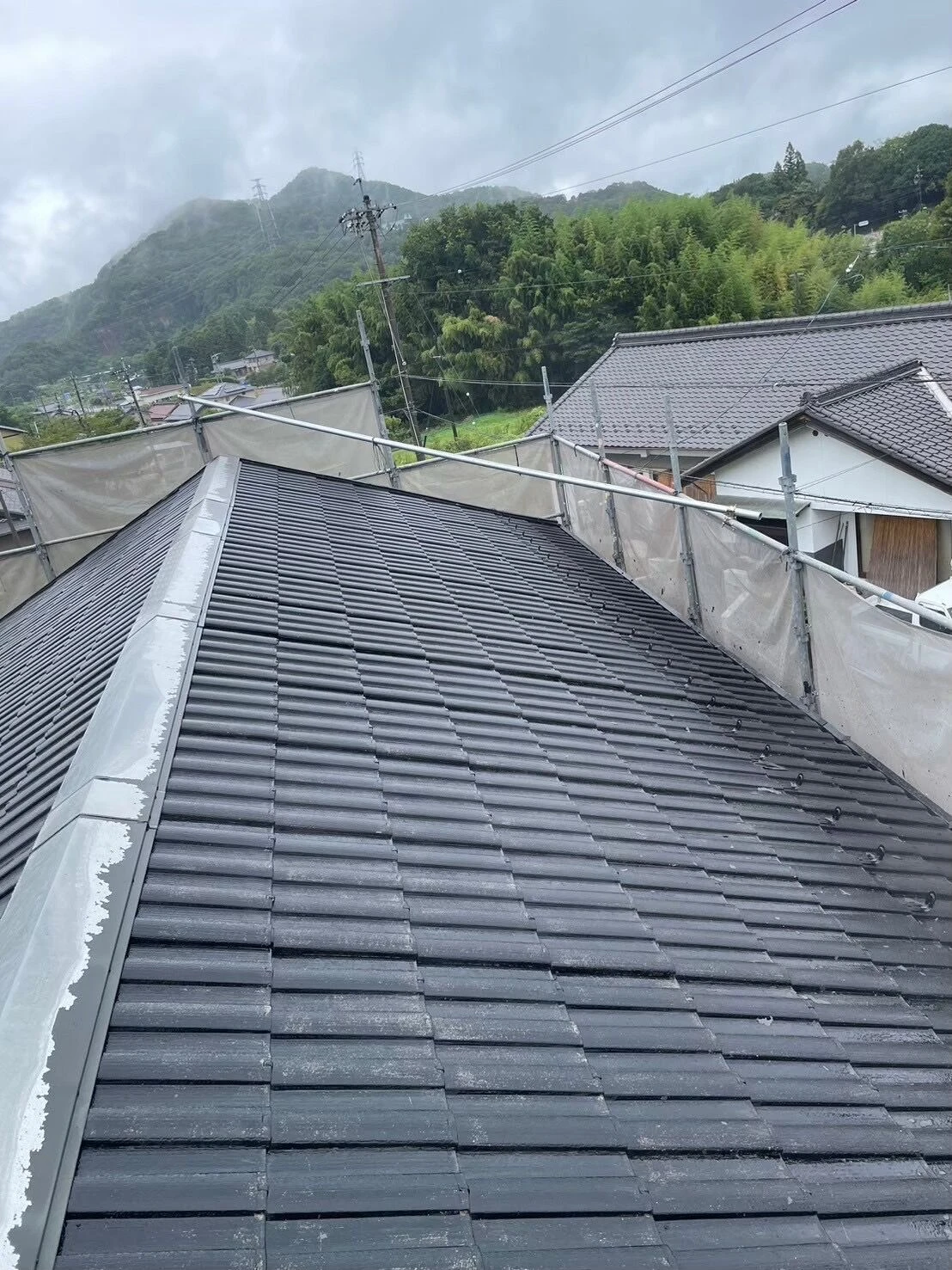 image0 (14)
